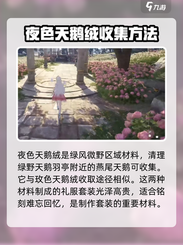 无限暖暖夜色天鹅绒怎么获得介绍截图2