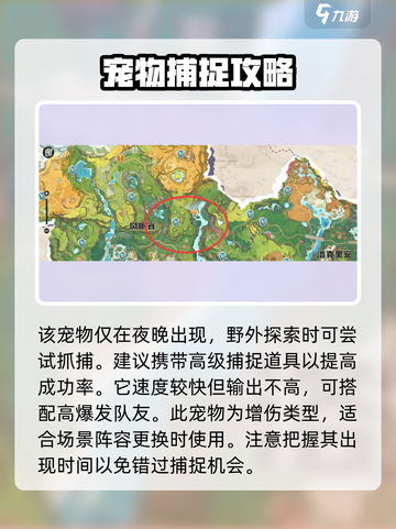 洛克王国世界空空颅介绍介绍截图2