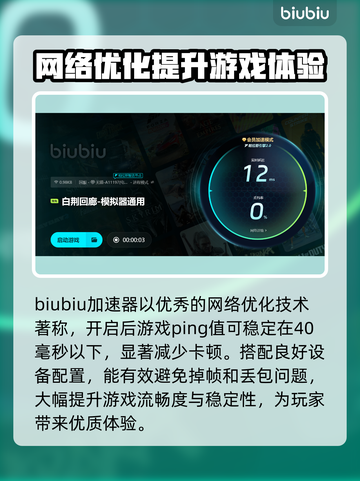 白荆回廊卡顿？用这个加速器⚡瞬间流畅！截图4