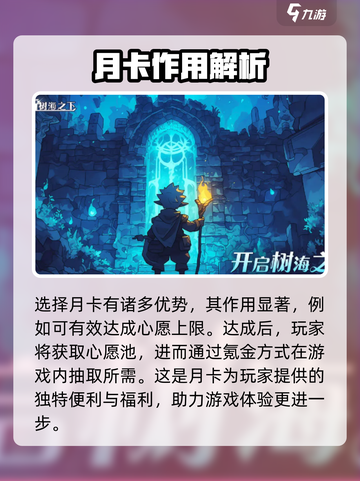 奥丘树海之下月卡怎么样介绍截图3