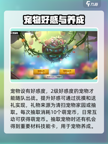 万龙觉醒🔥宠物养成秘籍大公开！💥截图5