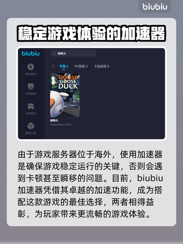 鹅鸭杀🔥加速器推荐，玩鹅鸭杀必看！🚀截图3
