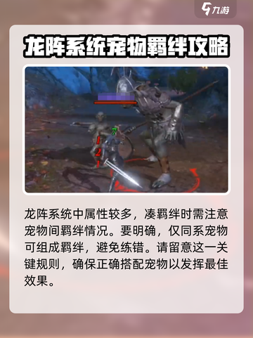 龙之灵域🔥超强龙阵玩法揭秘🎉截图5