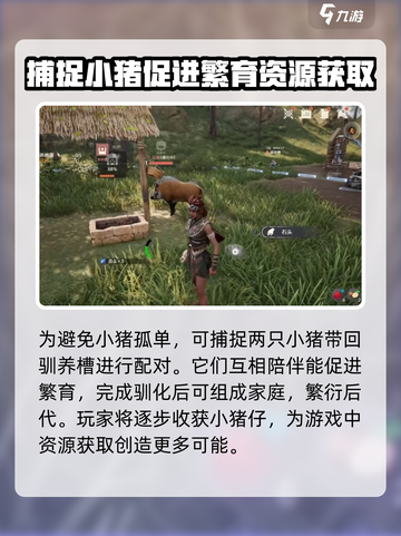 荒野起源养猪怎么养介绍截图5