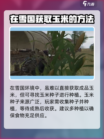 七日世界雪国人生玉米如何获取介绍截图2