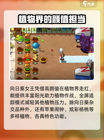 植物大战僵尸杂交版向日葵怎么样介绍截图4