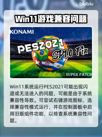 🎮PES2021闪退终极解决🔥Win11玩家必看！💥截图2