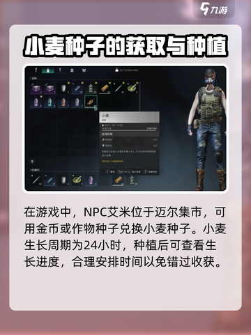 七日世界手游🔥小麦获取全攻略✨截图3