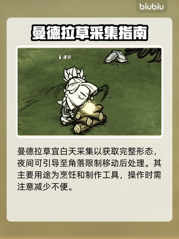 【饥荒】曼德拉草逆天用法！🌱截图4