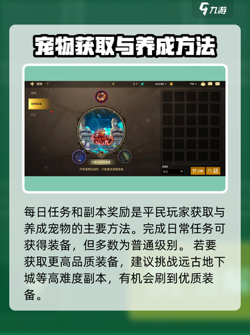 地下城与勇士起源宠物攻略介绍截图8