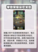帕尼亚战纪平民玩法攻略介绍截图3