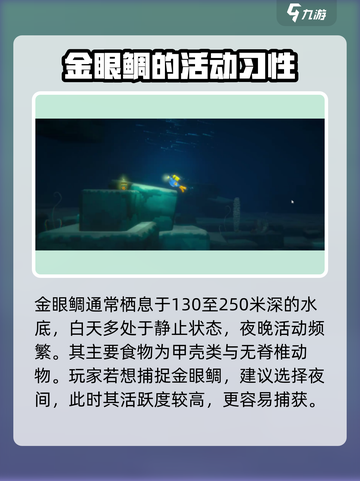 潜水员戴夫金眼鲷如何捕捉介绍截图2