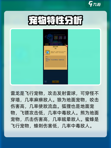 弓箭传说🔥宠物全攻略！游戏党必看👇截图4