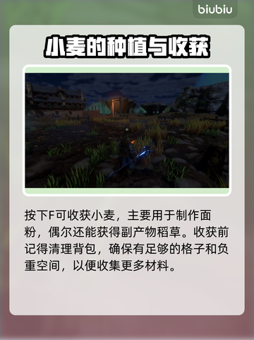 雾锁王国🔥小麦获取地点大揭秘！🌾截图3