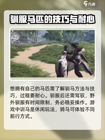 燕云十六声马怎么获得介绍截图4
