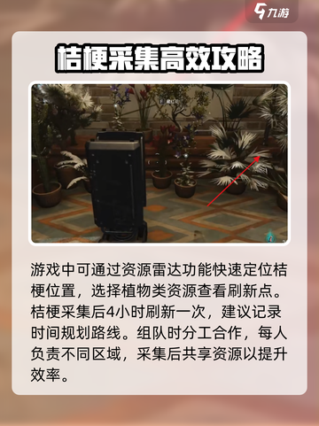 七日世界桔梗在哪里采集介绍截图4