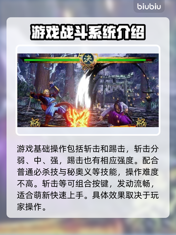 侍魂晓🔥必看！新手秒变大神的终极攻略✨截图3