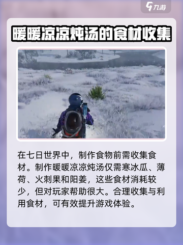 七日世界暖暖凉凉炖汤怎么做介绍截图2