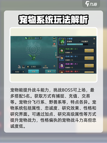 魔力宝贝复兴版🔥宠物系统玩法大揭秘！💎截图2
