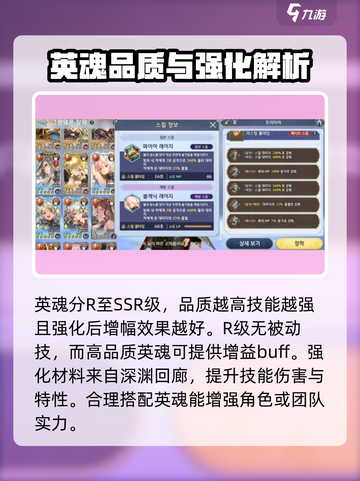 剑与骑士团英魂是什么介绍截图3