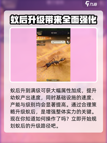 小小蚁国满级建筑最高是多少介绍截图4