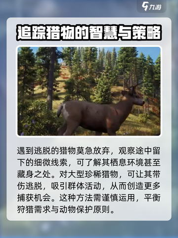 猎人之路🔥新手必看！超全入门指南💥截图4