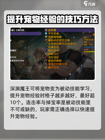 再刷一把2金色传说宠物经验如何提升介绍截图4