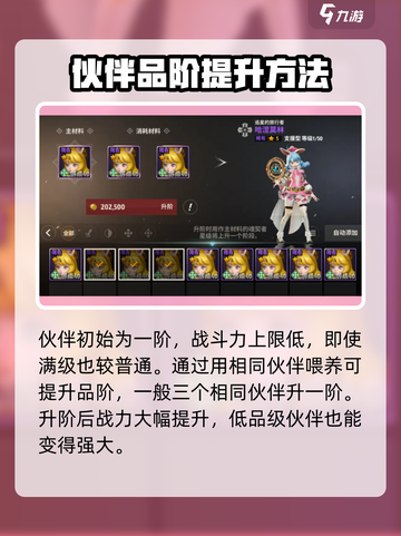 战之刃幸存者伙伴怎么培养介绍截图3