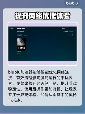 地狱边境延迟丢包？这份解决方案让你畅爽游戏🔥🎮截图2
