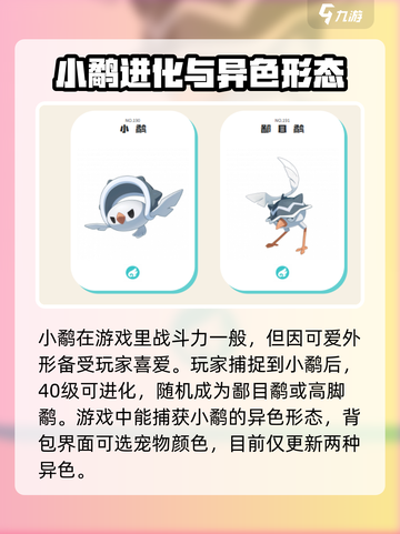 洛克王国世界小鹬怎么捕捉介绍截图3
