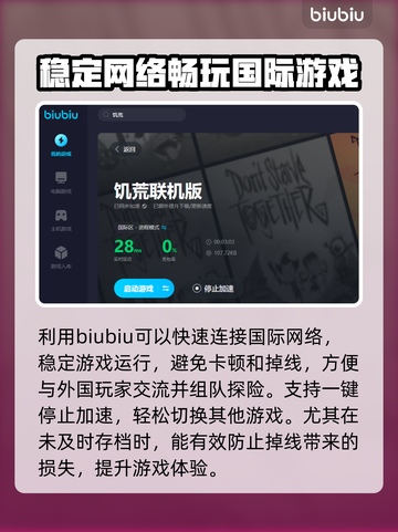 饥荒联机版卡顿？🔥一招教你流畅玩💎截图4