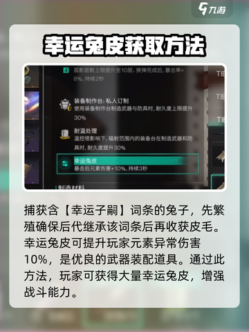 七日世界💡幸运兔皮获取秘籍兔兔必看！截图3