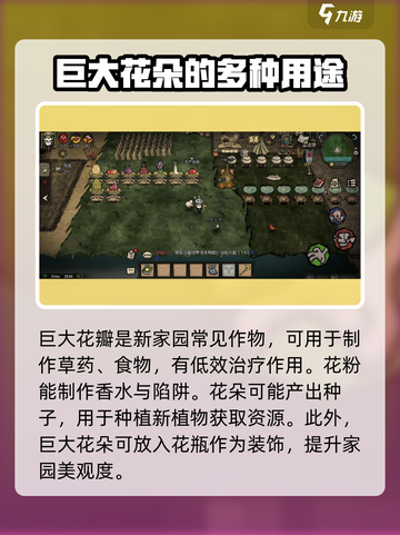 饥荒新家园：巨大花朵玩法大曝光！🌺截图4