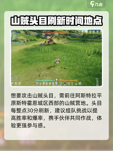 星痕共鸣山贼头目怎么打介绍截图2