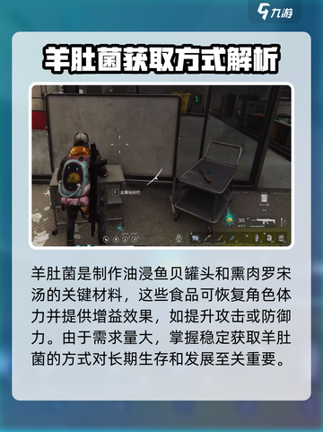 七日世界羊肚菌有什么用介绍截图3
