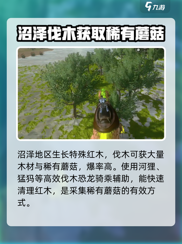方舟生存进化：稀有蘑菇获取大揭秘🔥截图4