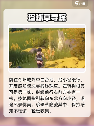 《鸣潮珍珠草全收集攻略💎速拿指南》截图2