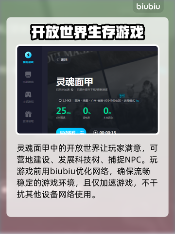 灵魂面甲🔥加速器推荐，玩游戏必备！🎮截图3
