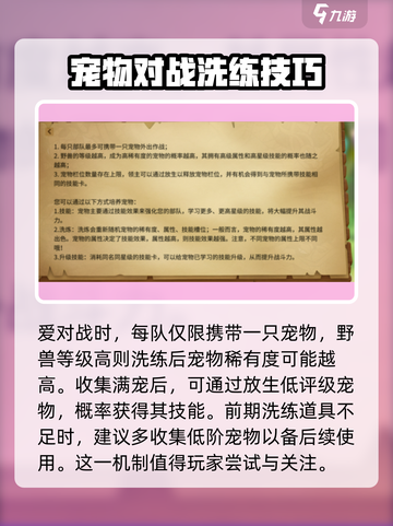 万龙觉醒🔥宠物洗练玩法大揭秘！💡截图4