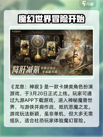 龙息神寂单机版链接在哪找介绍截图2