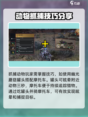 七日世界怎么抓动物介绍截图2
