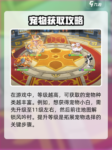 西普大陆手游隐藏宠物怎么抓介绍截图2