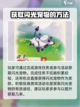 洛克王国手游✨：闪光宠物获取全攻略！截图3