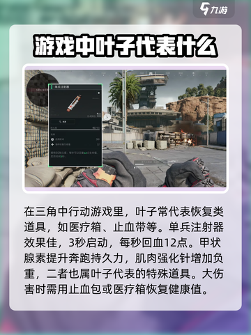 三角洲行动叶子是什么介绍截图2