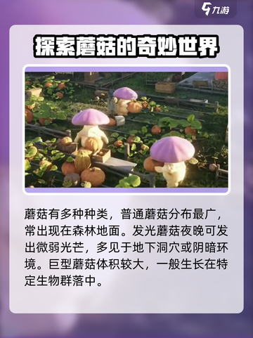 七日世界蘑菇在哪采集介绍截图2