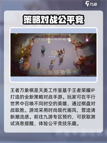王者万象棋是哪个公司的介绍截图3