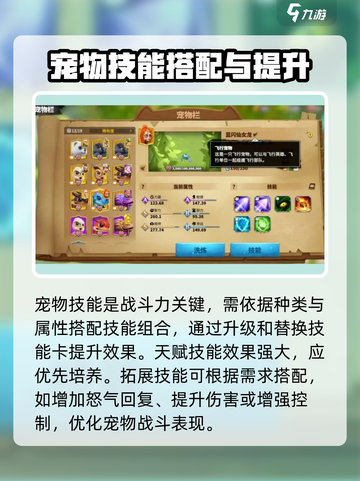 万龙觉醒💥宠物培养秘籍，快速养成完美宠物！🔥截图4