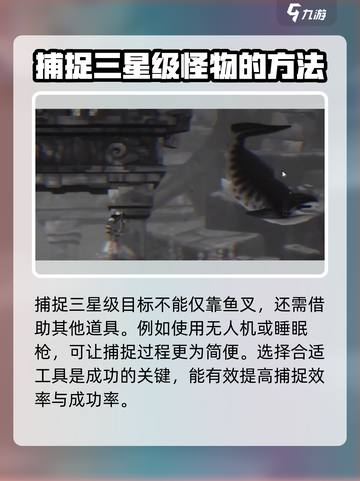 潜水员戴夫邓氏鱼如何捕捉介绍截图3
