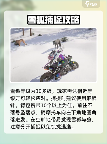 七日世界💥雪狐获取攻略💡玩家必看！截图2