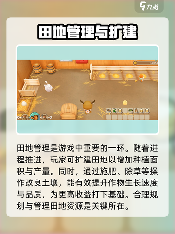牧场物语重聚矿石镇农作怎么玩介绍截图3